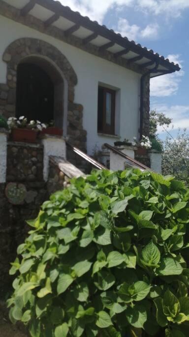 Apartamento En Casa Rural Con Amplio Jardin A 5 Min De La Playa Situacion Inmejorable La Riera  Exterior foto