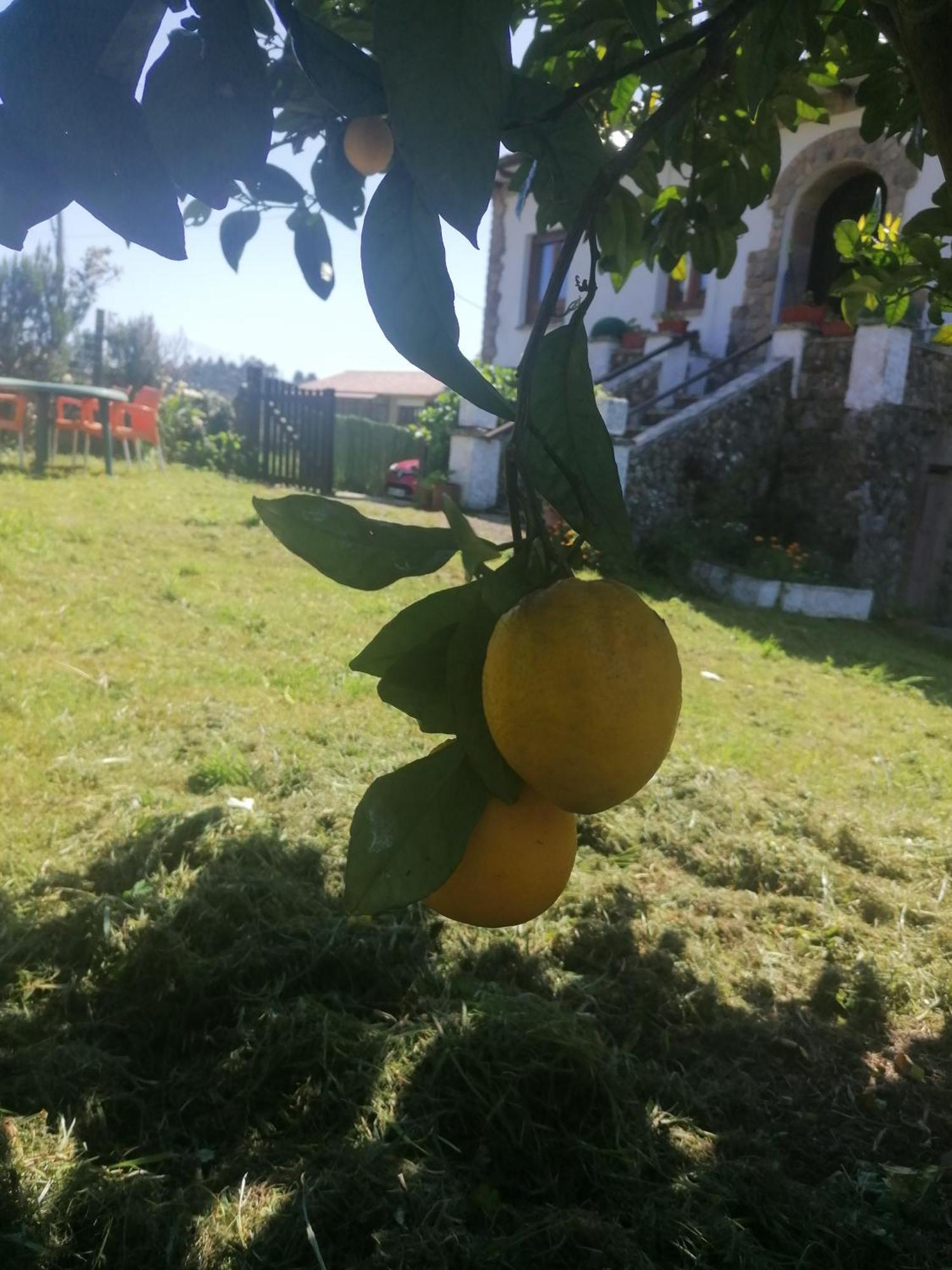 Apartamento En Casa Rural Con Amplio Jardin A 5 Min De La Playa Situacion Inmejorable La Riera  Exterior foto